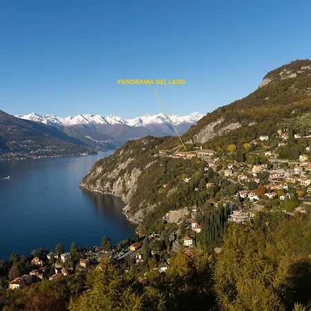 Panorama Del *
